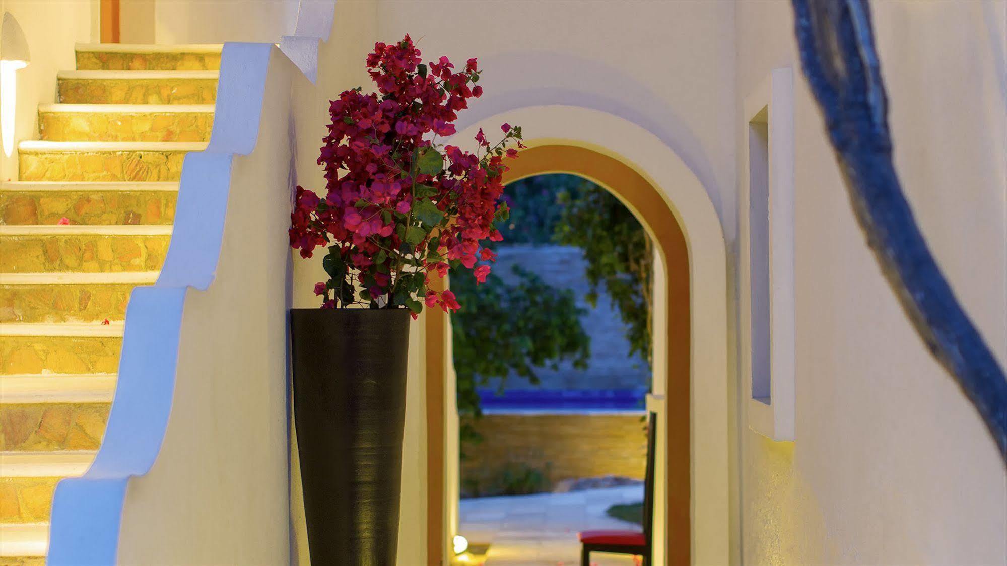 My Blue Hotel Jijoca de Jericoacoara Εξωτερικό φωτογραφία