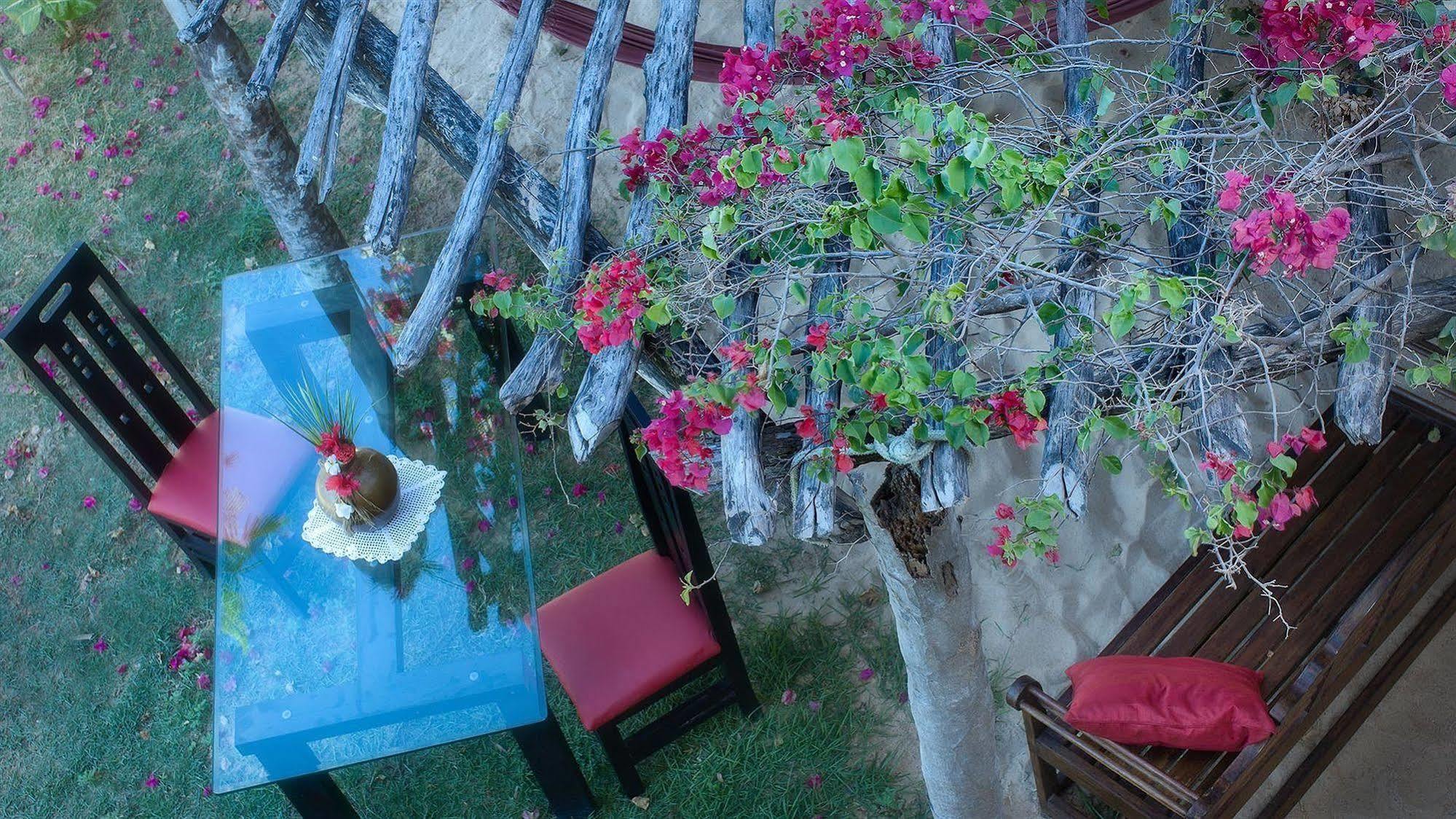 My Blue Hotel Jijoca de Jericoacoara Εξωτερικό φωτογραφία