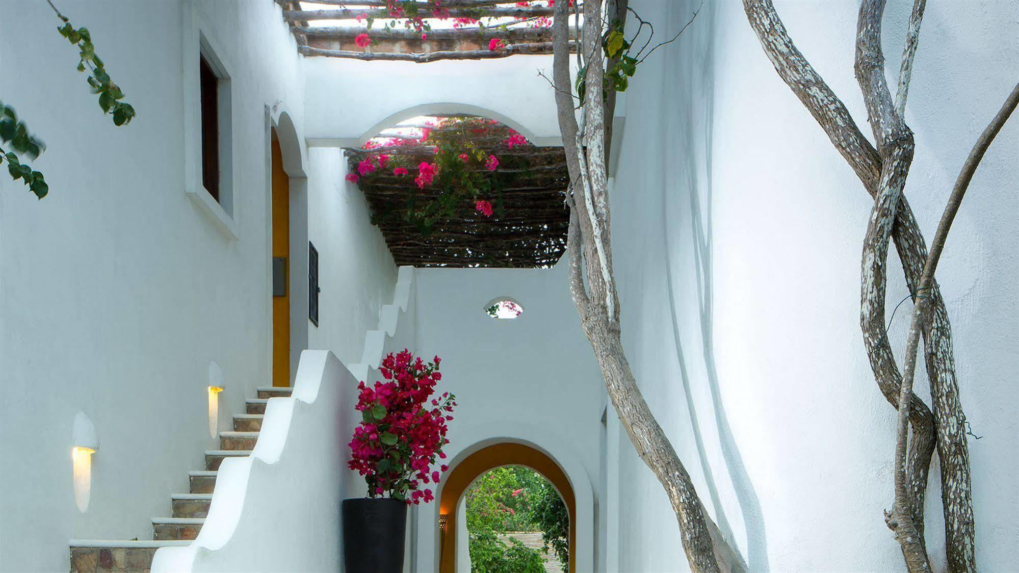 My Blue Hotel Jijoca de Jericoacoara Εξωτερικό φωτογραφία