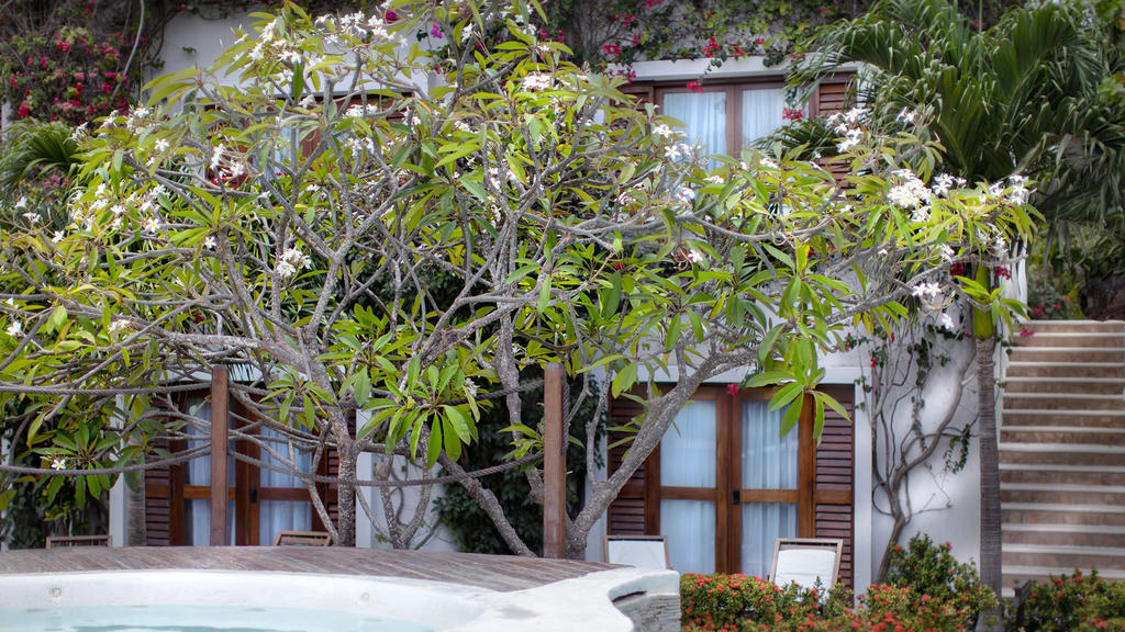 My Blue Hotel Jijoca de Jericoacoara Εξωτερικό φωτογραφία